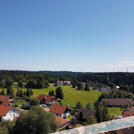 Apartamento Fewo Nationalpark Schwarzwald Freudenstadt Exterior foto