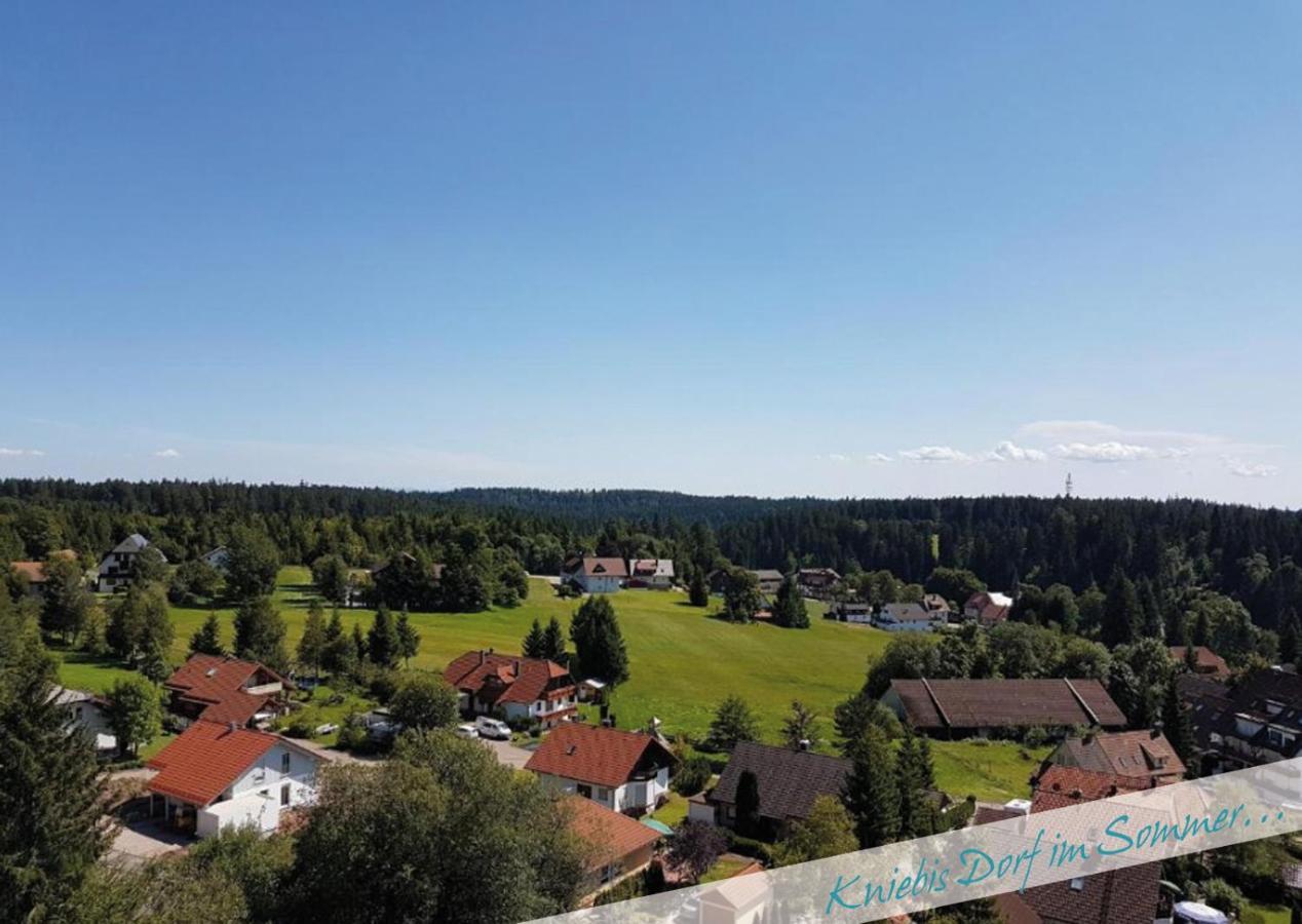 Apartamento Fewo Nationalpark Schwarzwald Freudenstadt Exterior foto