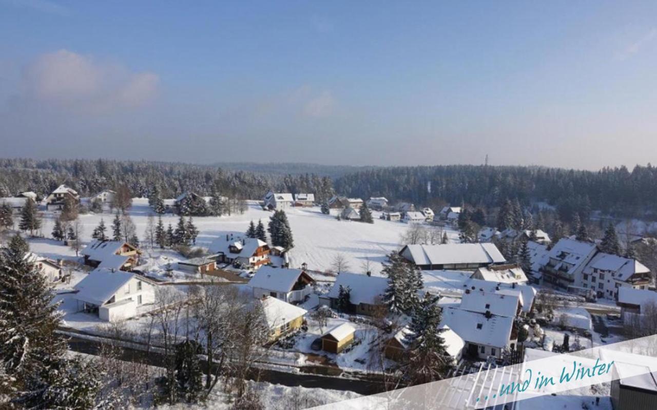 Apartamento Fewo Nationalpark Schwarzwald Freudenstadt Exterior foto