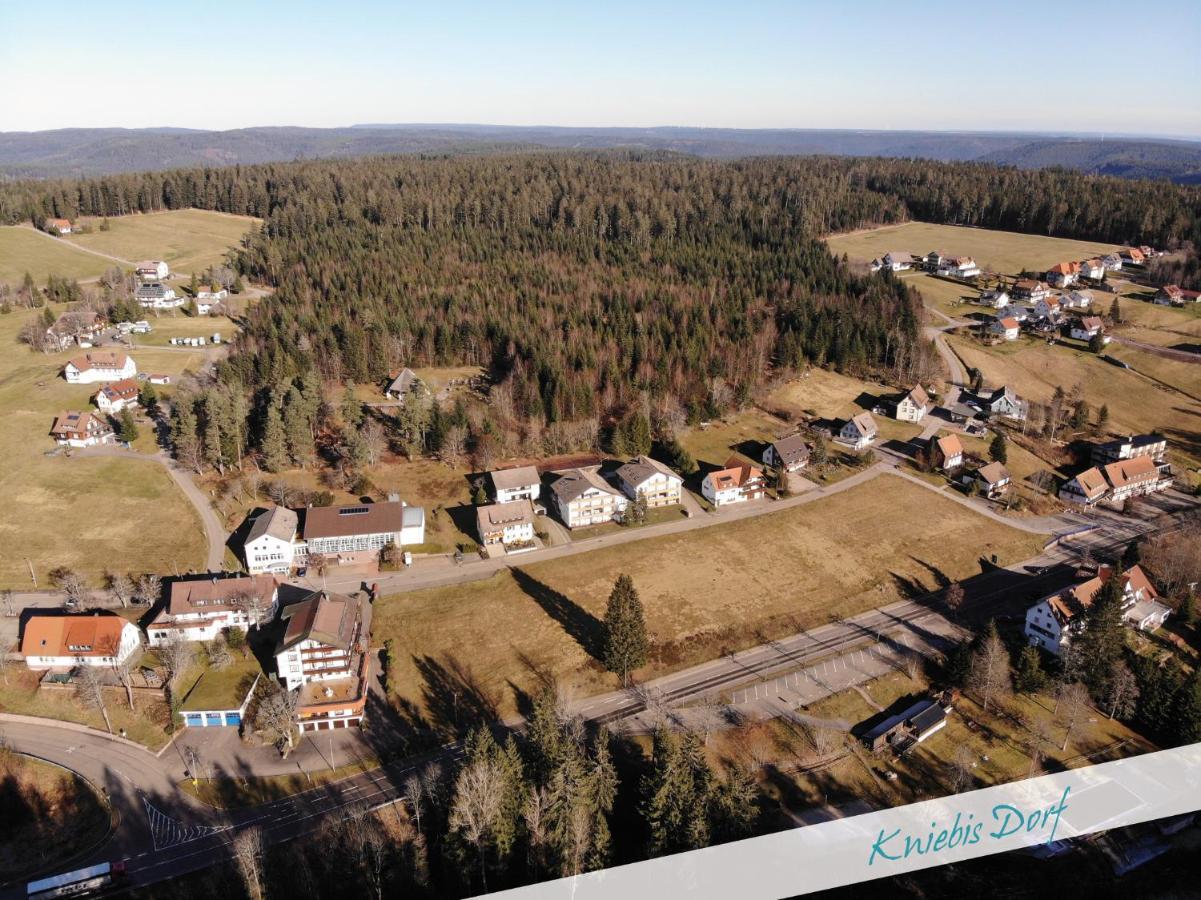 Apartamento Fewo Nationalpark Schwarzwald Freudenstadt Exterior foto