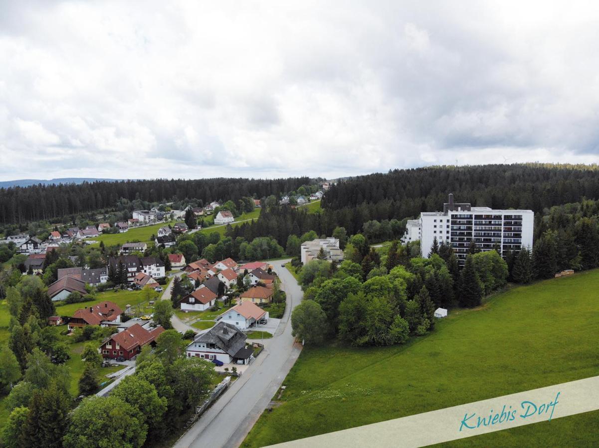 Apartamento Fewo Nationalpark Schwarzwald Freudenstadt Exterior foto